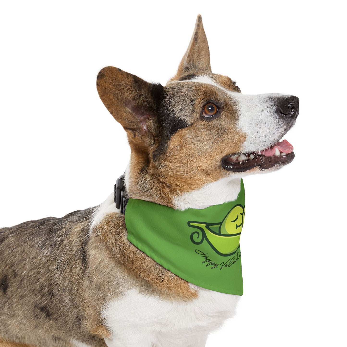Happy Valentine's, Sweet Pea! Clip-On Pet Bandana Collar