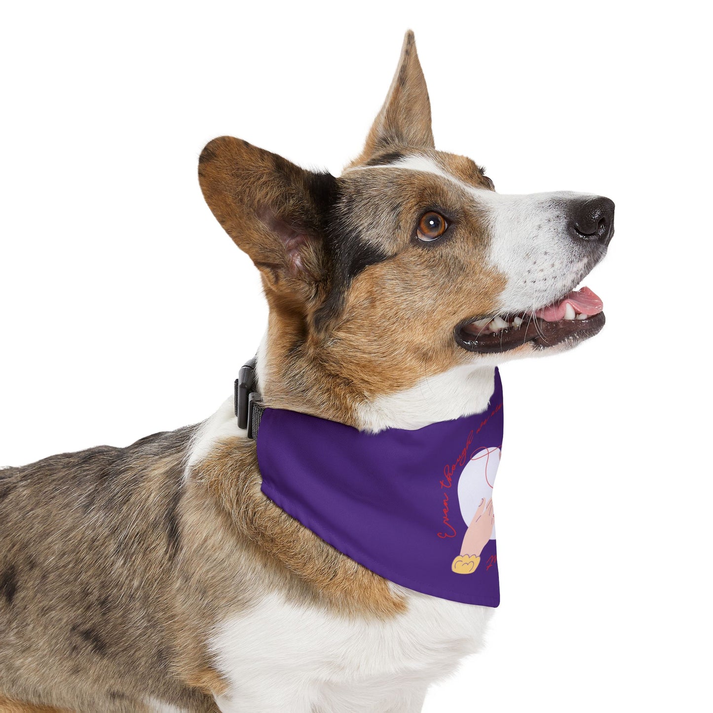 Apart But Connected By The Heart Clip-On Pet Bandana Collar