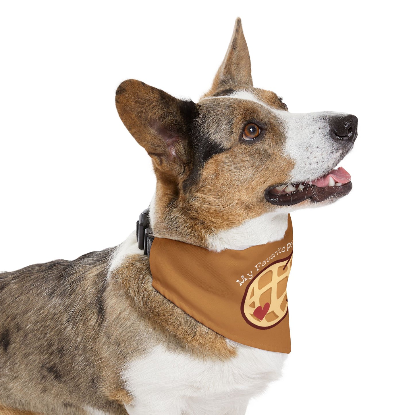 My Favorite Peanut Clip-On Pet Bandana Collar