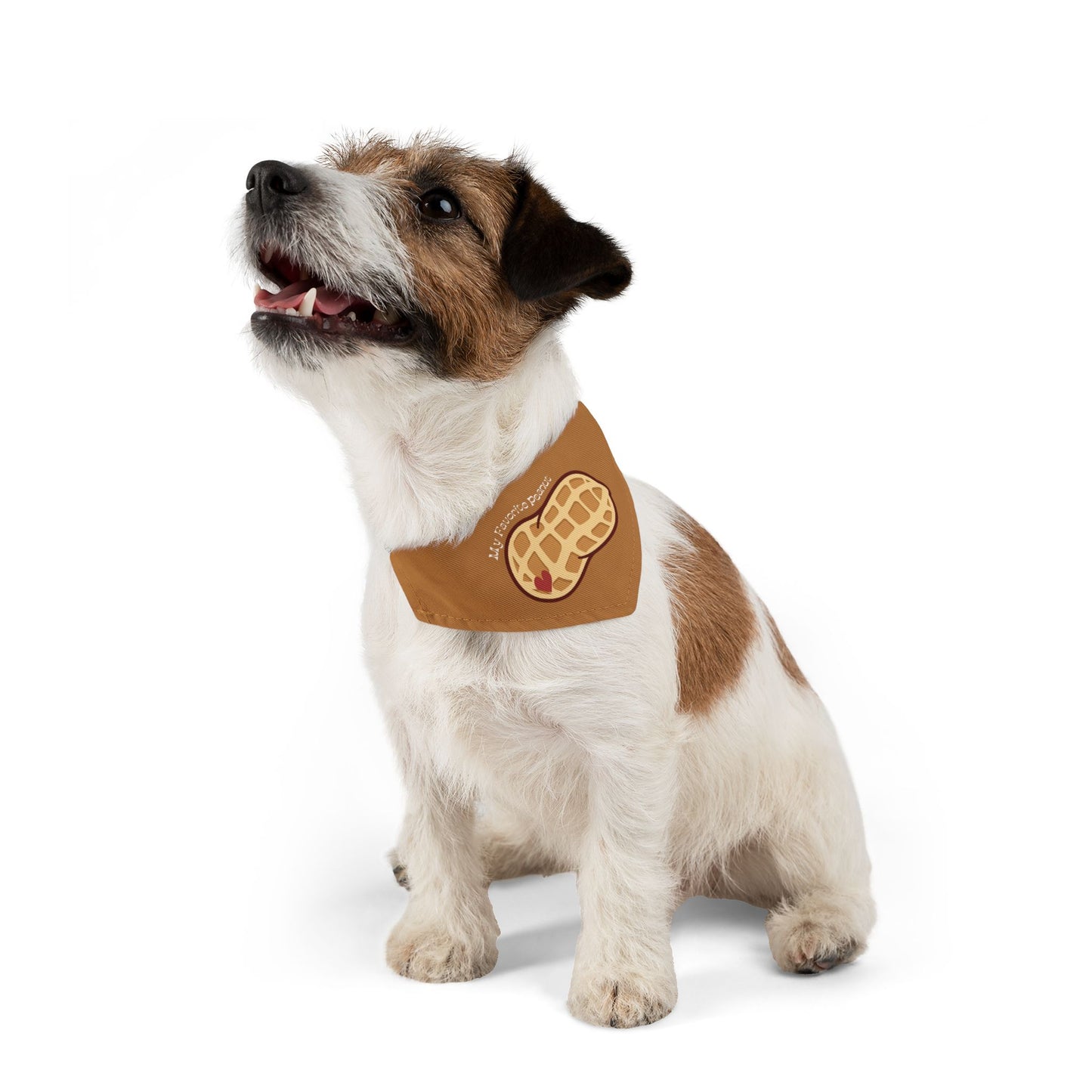 My Favorite Peanut Clip-On Pet Bandana Collar