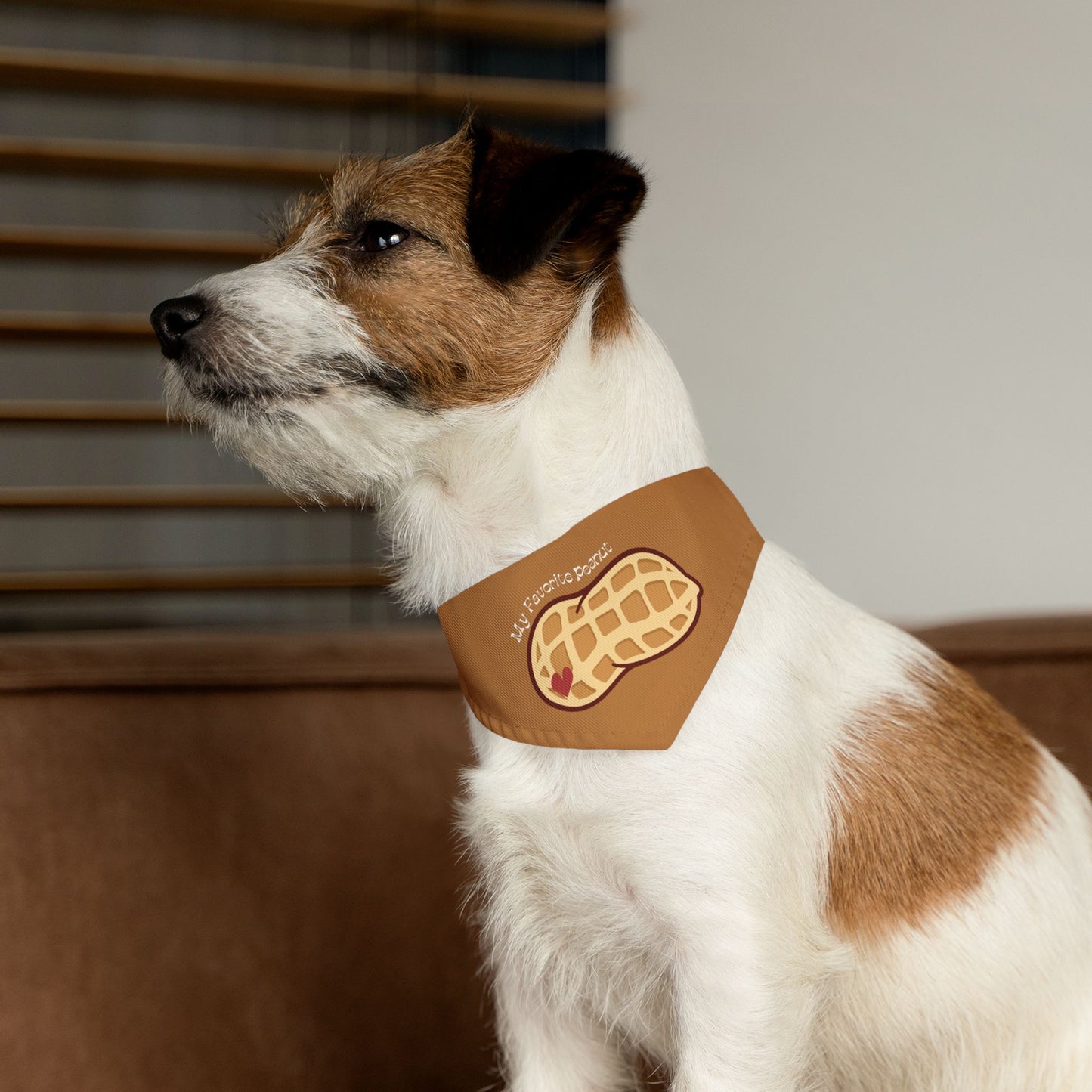 My Favorite Peanut Clip-On Pet Bandana Collar