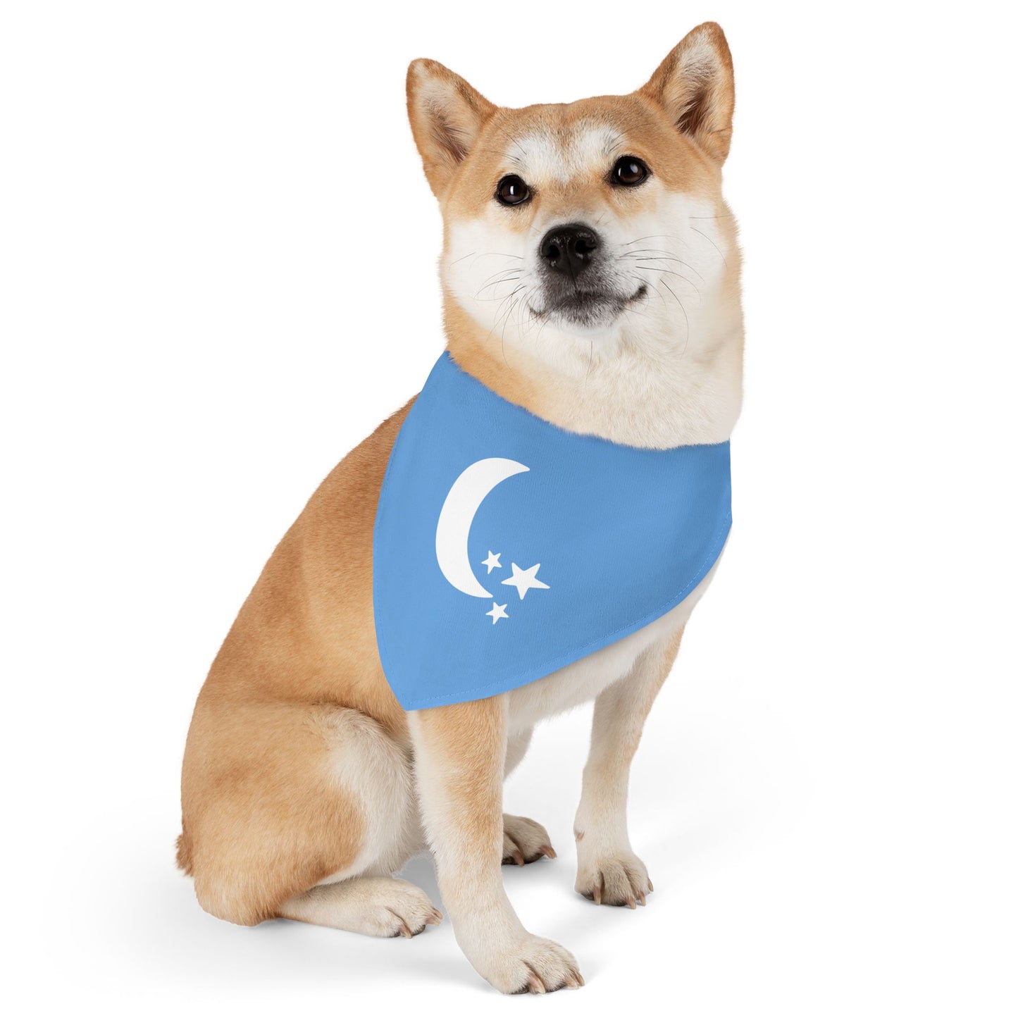 Moon & Stars Clip-On Pet Bandana Collar