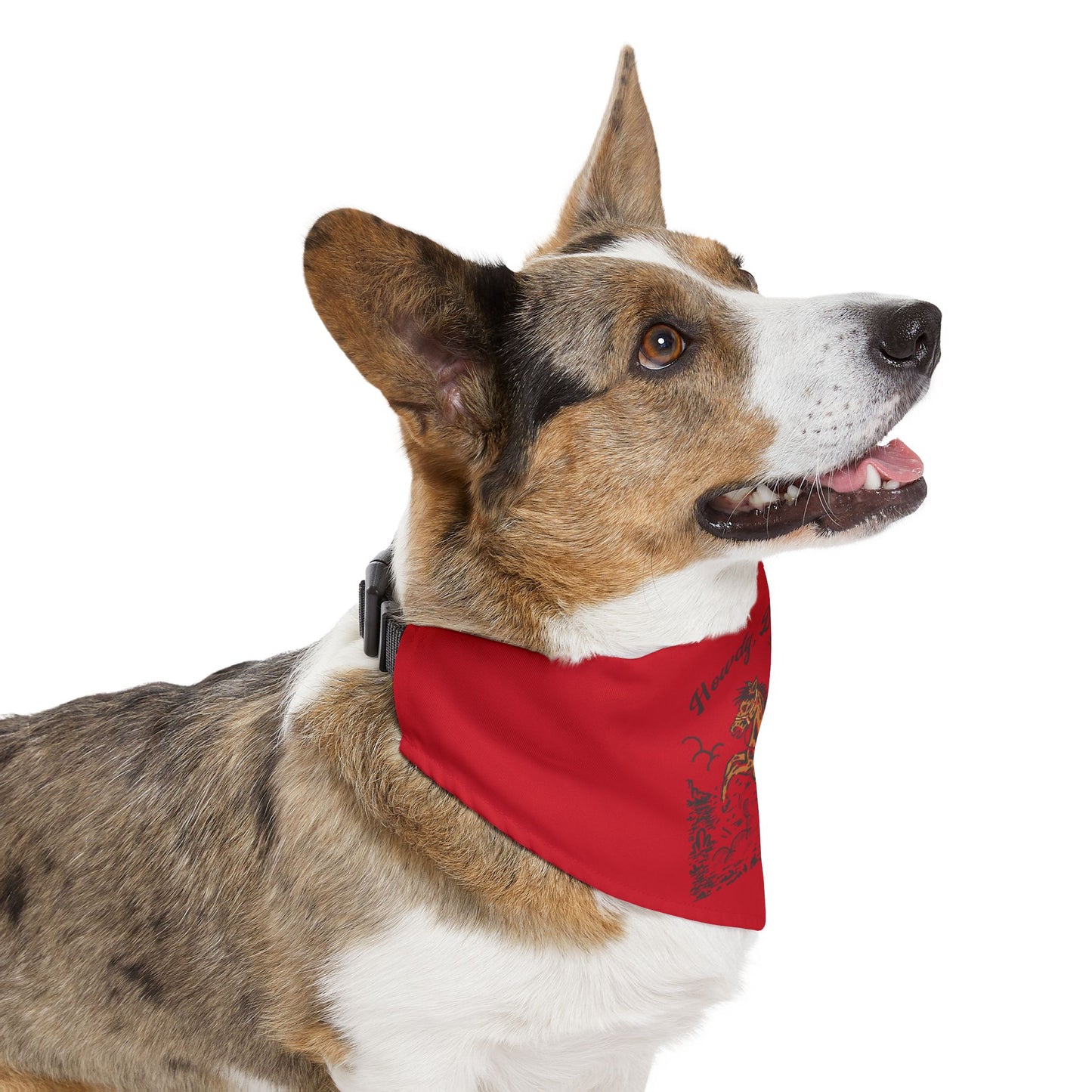 Howdy, Darlin'! Clip-On Pet Bandana Collar
