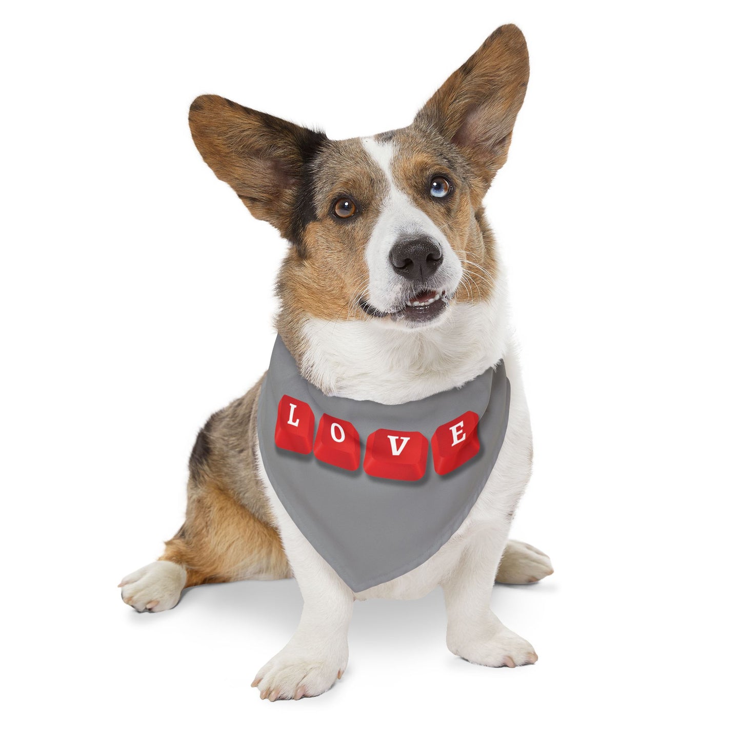 LOVE Key Caps Clip-On Pet Bandana Collar