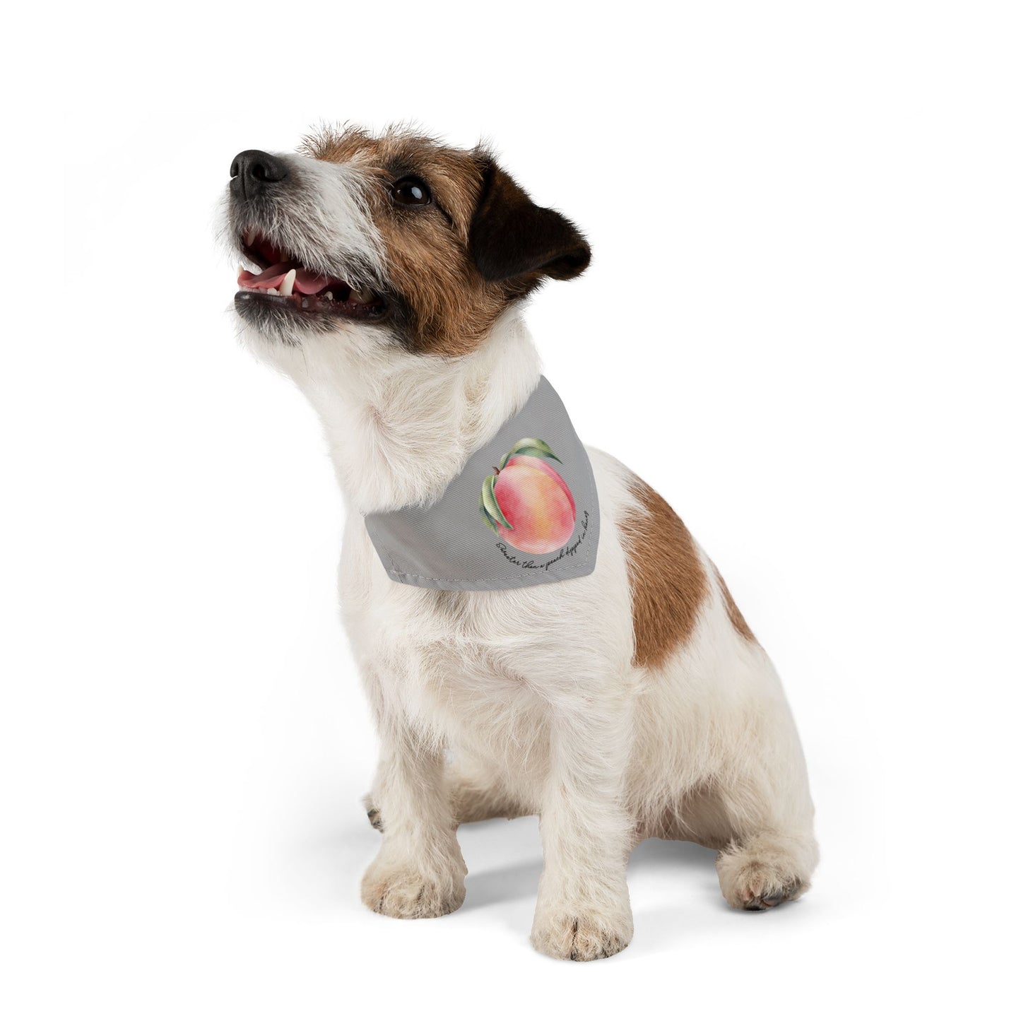 Sweet As A Peach Dipped In Honey Clip-On Pet Bandana Collar
