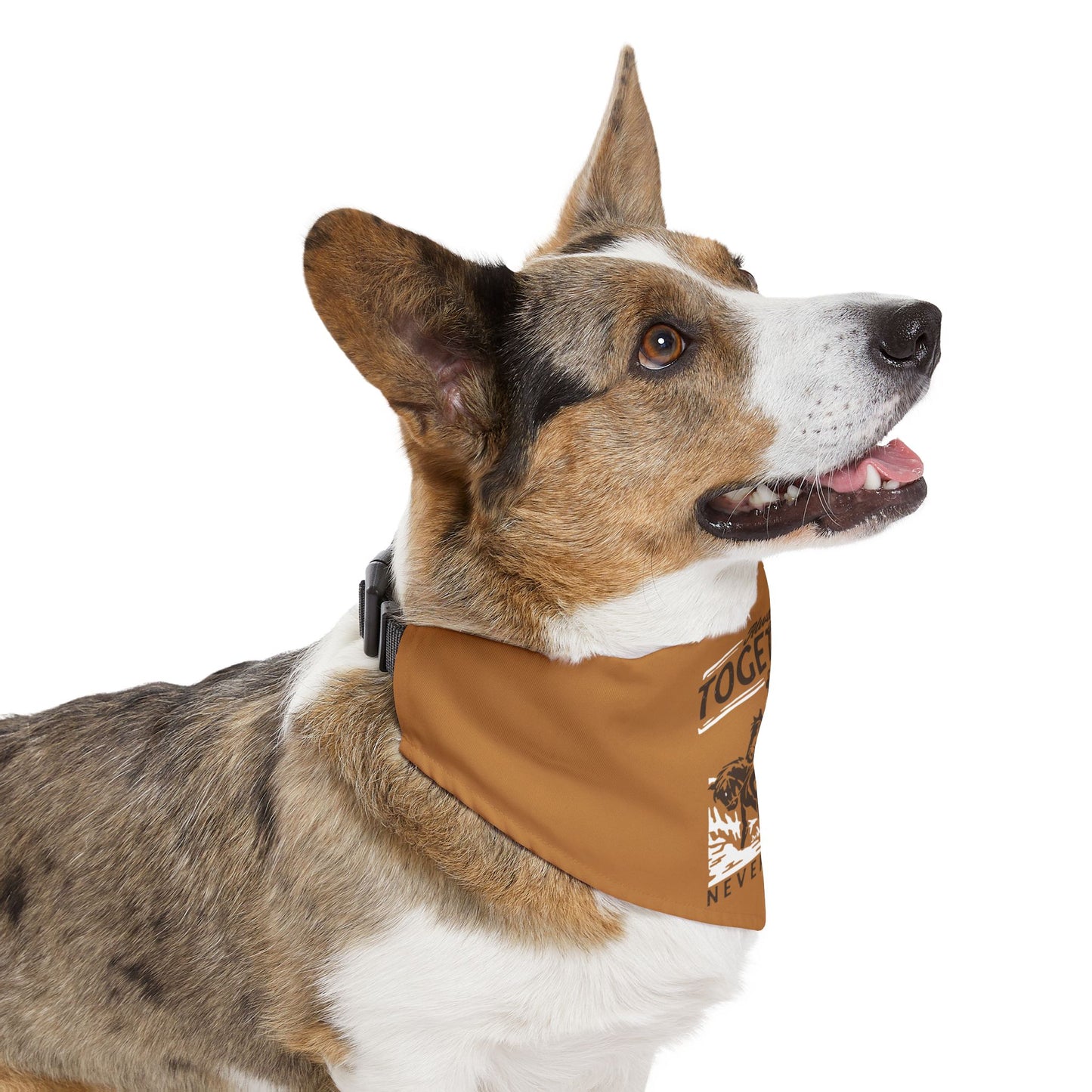 Always Together, Never Apart Clip-On Pet Bandana Collar