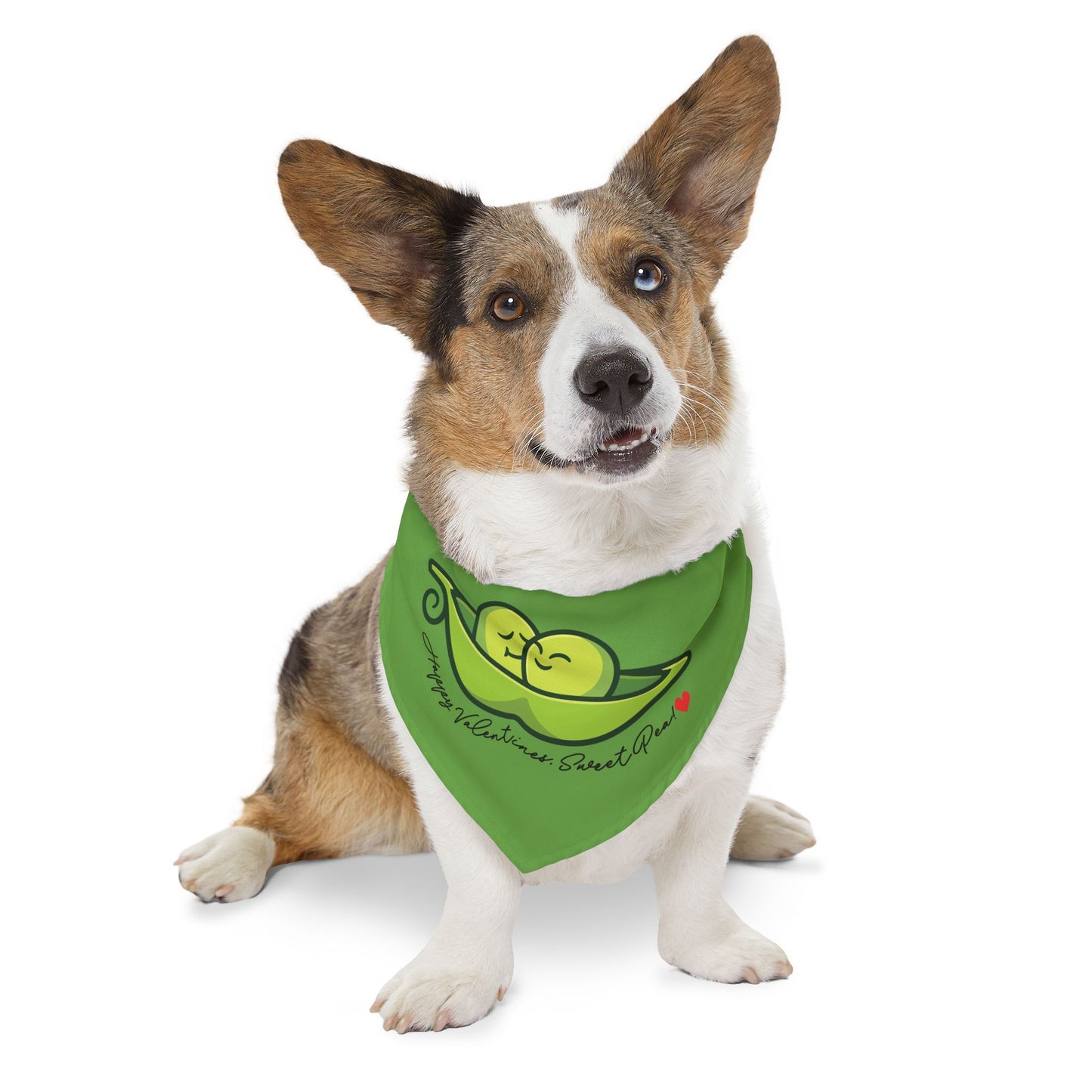 Happy Valentine's, Sweet Pea!  Clip-On Pet Bandana Collar