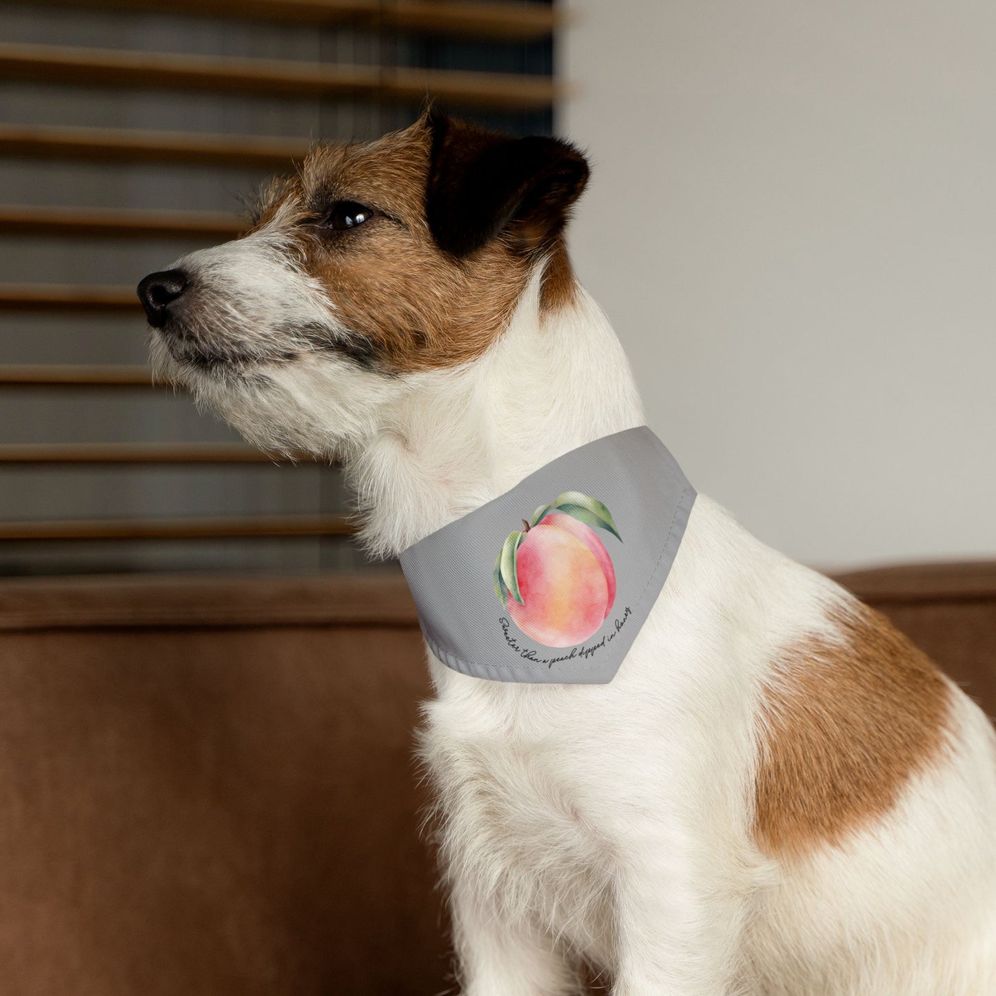 Sweet As A Peach Dipped In Honey Clip-On Pet Bandana Collar