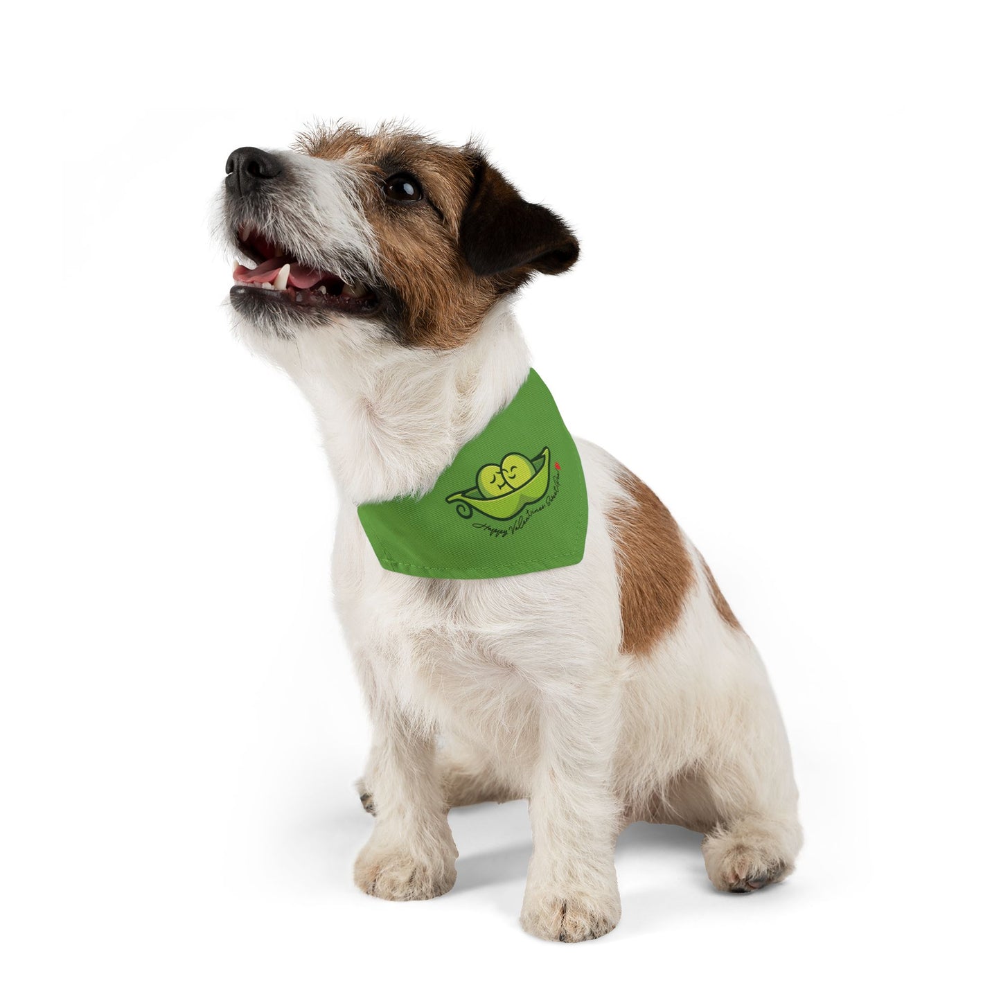 Happy Valentine's, Sweet Pea!  Clip-On Pet Bandana Collar