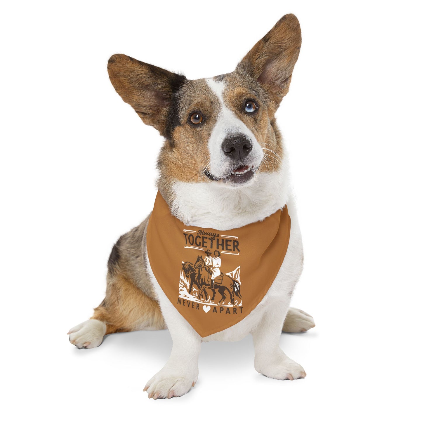 Always Together, Never Apart Clip-On Pet Bandana Collar