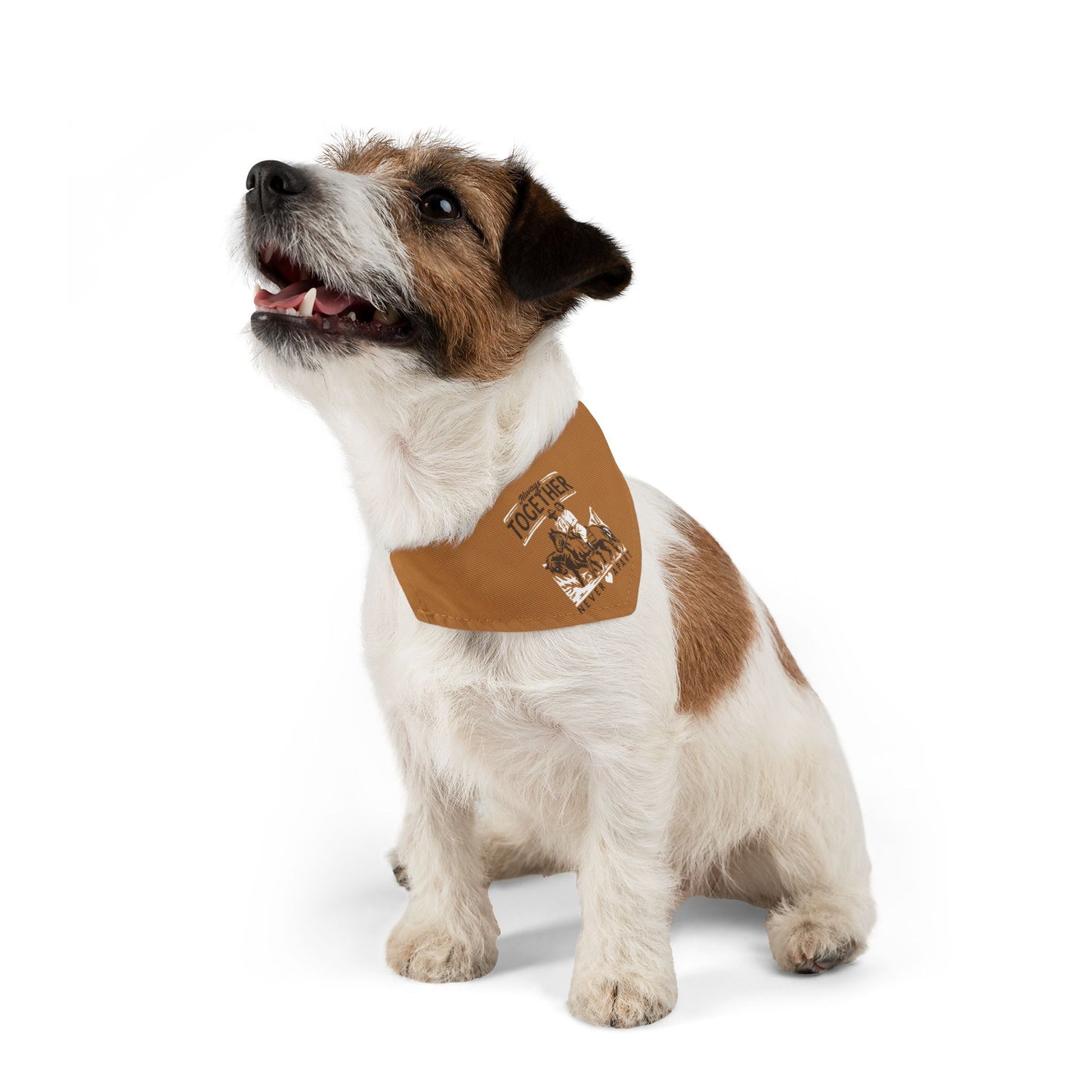 Always Together, Never Apart Clip-On Pet Bandana Collar