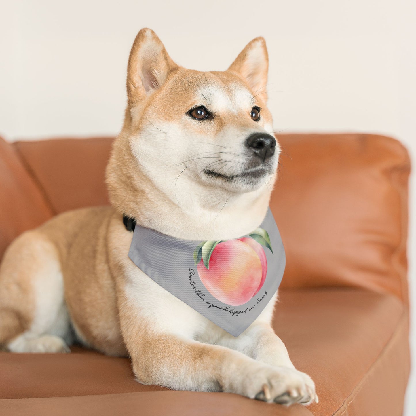 Sweet As A Peach Dipped In Honey Clip-On Pet Bandana Collar