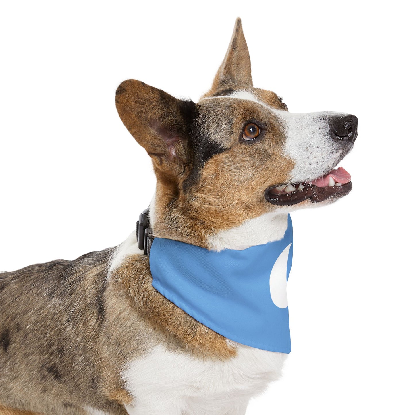 Moon & Stars Clip-On Pet Bandana Collar