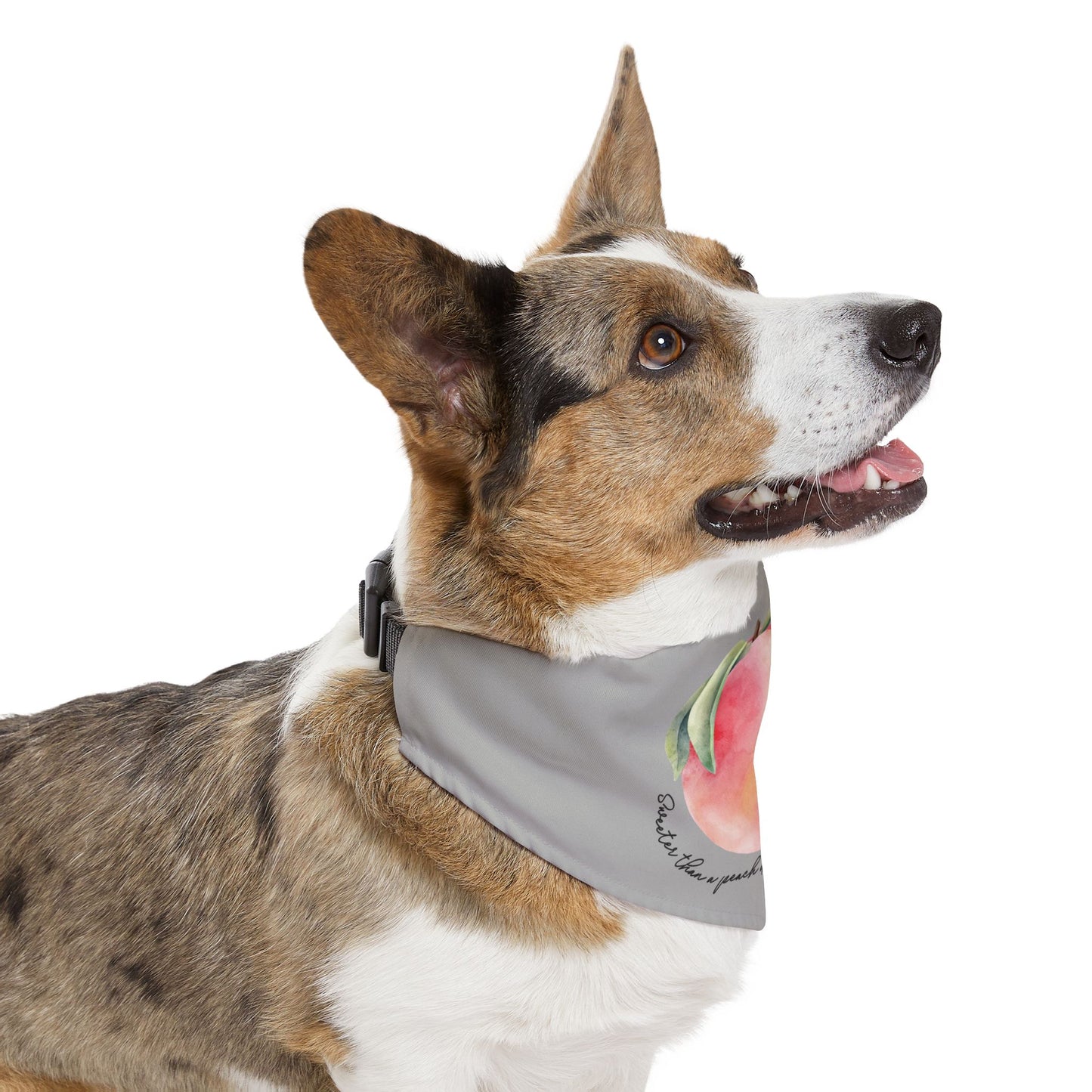 Sweet As A Peach Dipped In Honey Clip-On Pet Bandana Collar