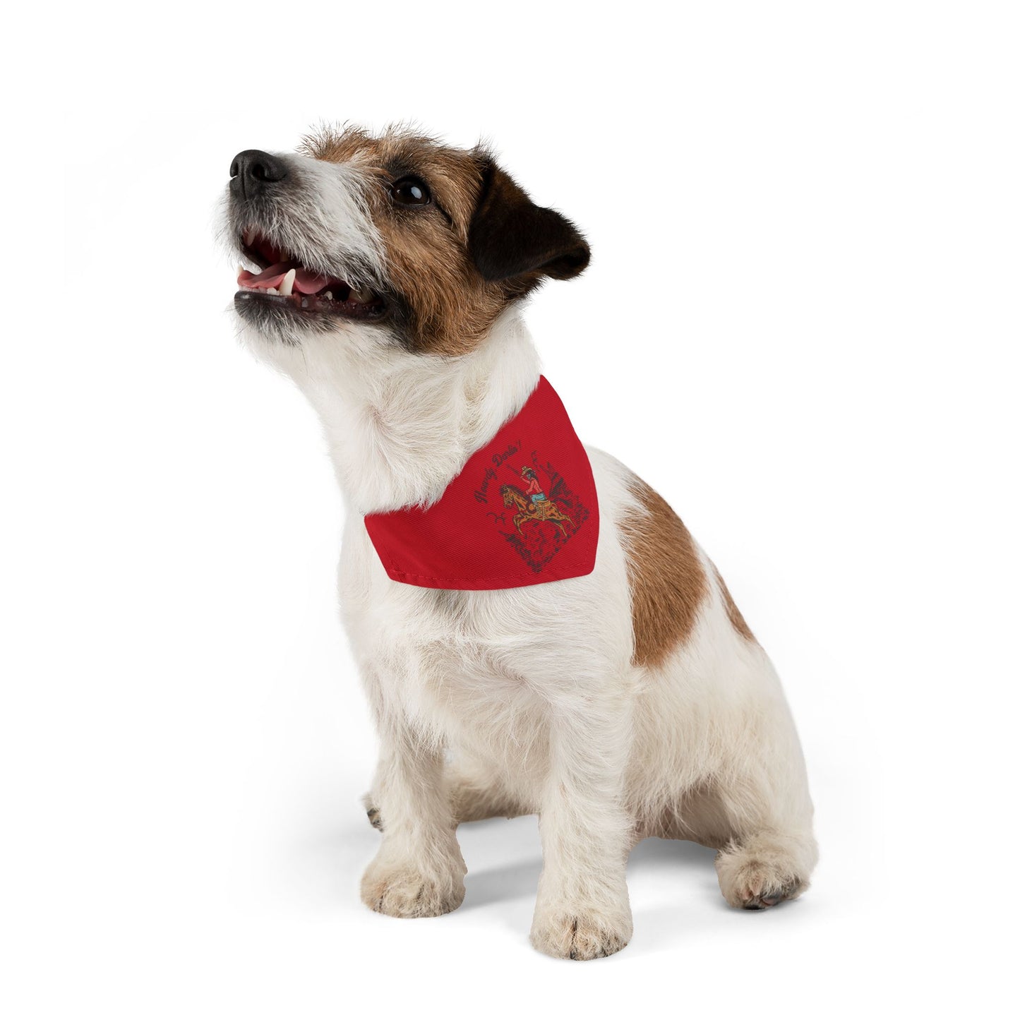 Howdy, Darlin'! Clip-On Pet Bandana Collar