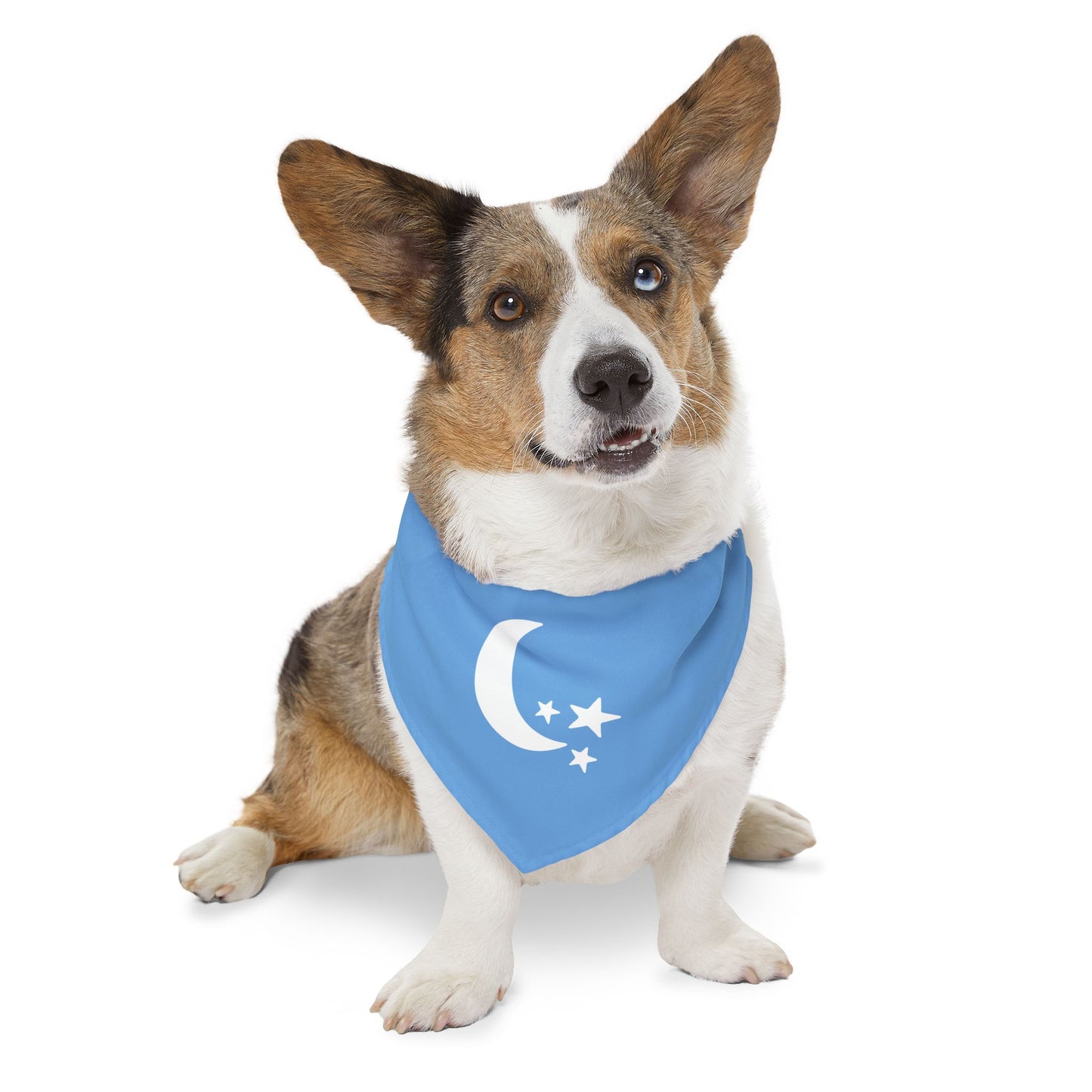 Moon & Stars Clip-On Pet Bandana Collar