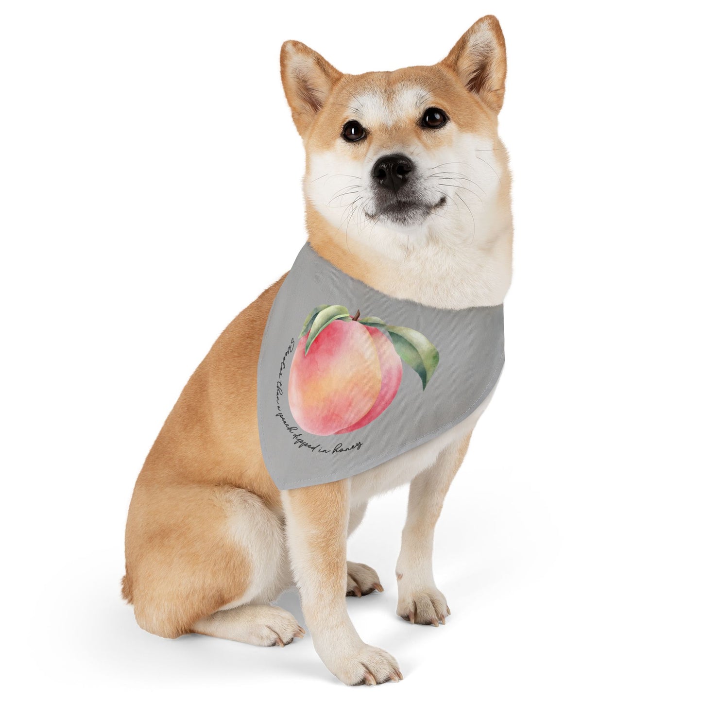 Sweet As A Peach Dipped In Honey Clip-On Pet Bandana Collar