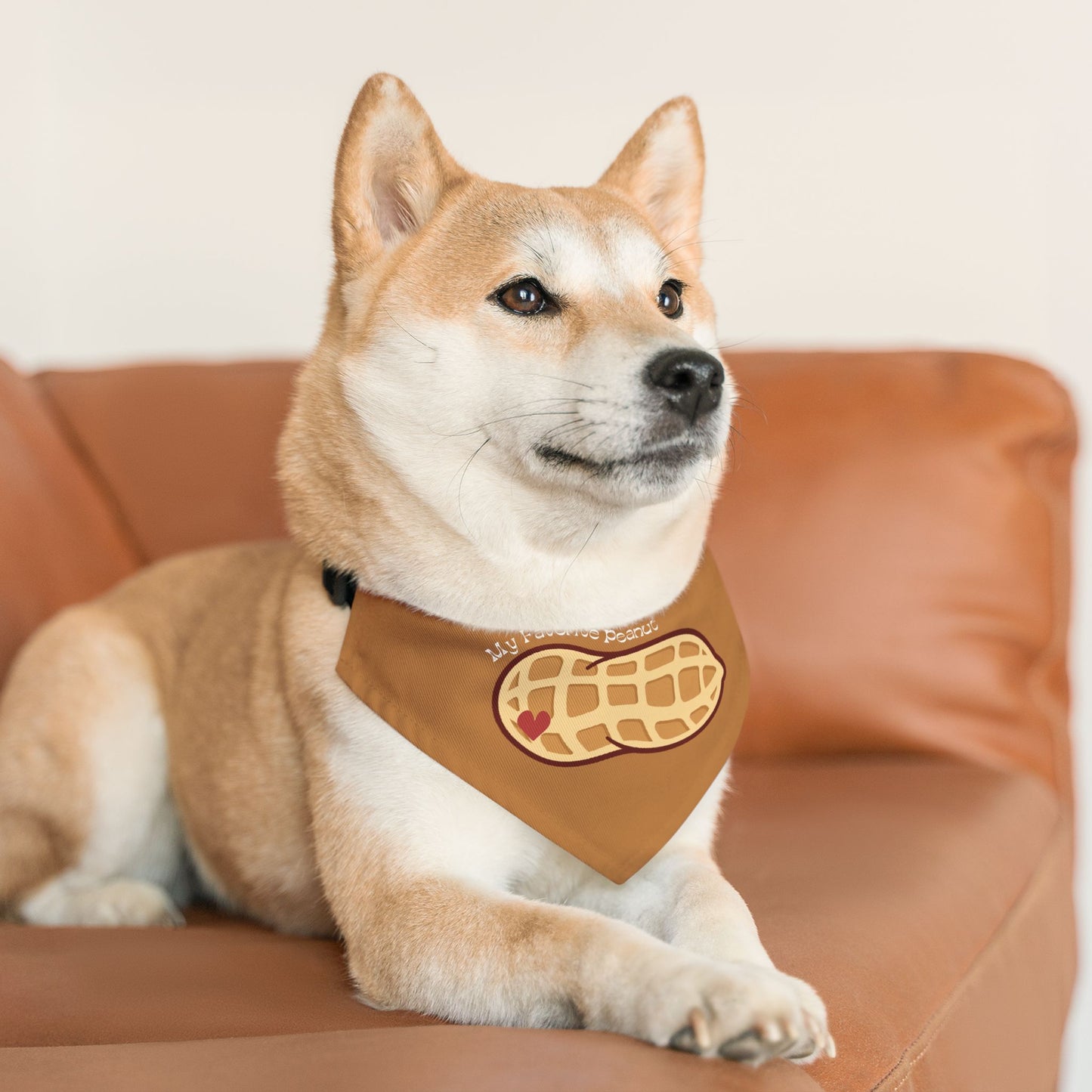 My Favorite Peanut Clip-On Pet Bandana Collar