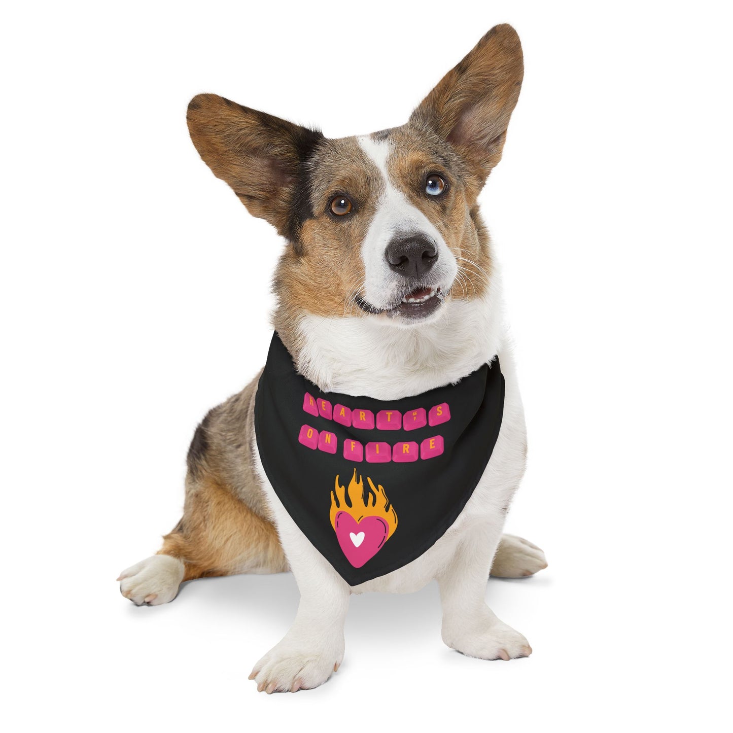 HEARTS ON FIRE Key Caps Flaming Heart Clip-On Pet Bandana Collar