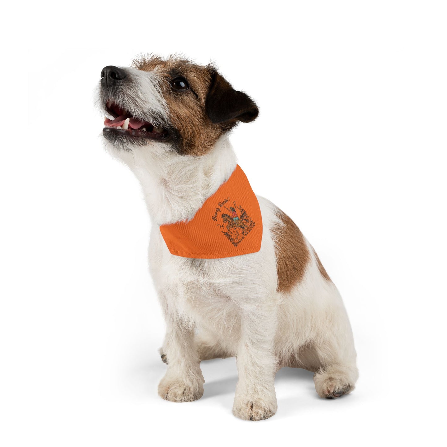 Howdy, Darlin'! Western Love Clip-On Pet Bandana Collar