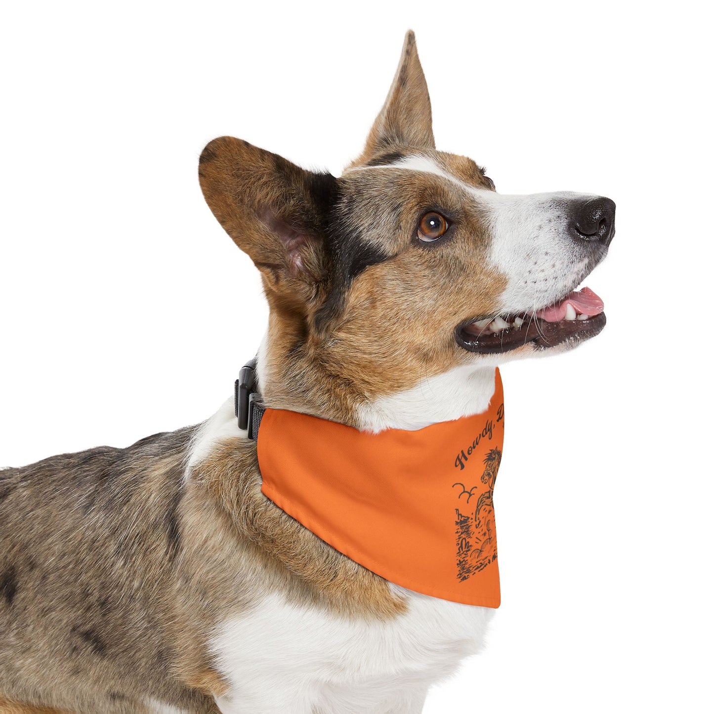 Howdy, Darlin'! Western Love Clip-On Pet Bandana Collar