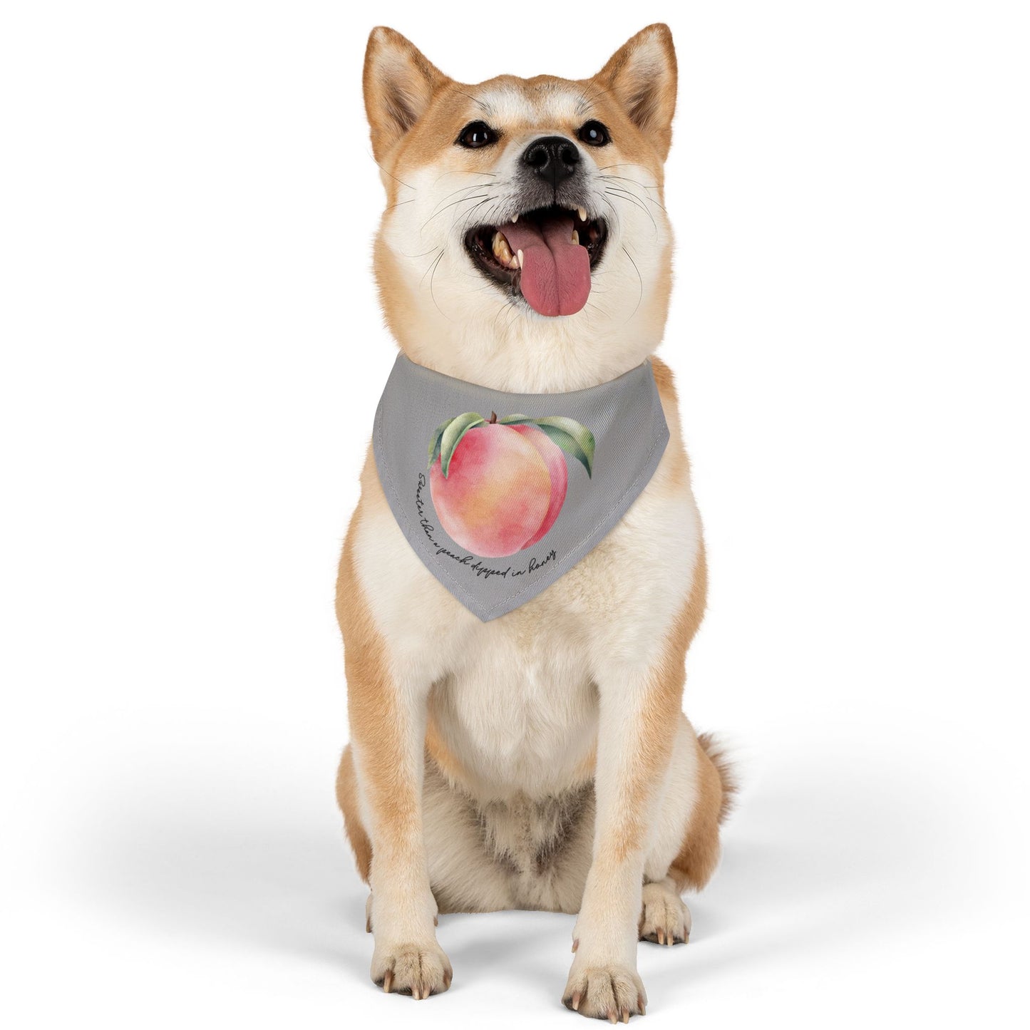 Sweet As A Peach Dipped In Honey Clip-On Pet Bandana Collar
