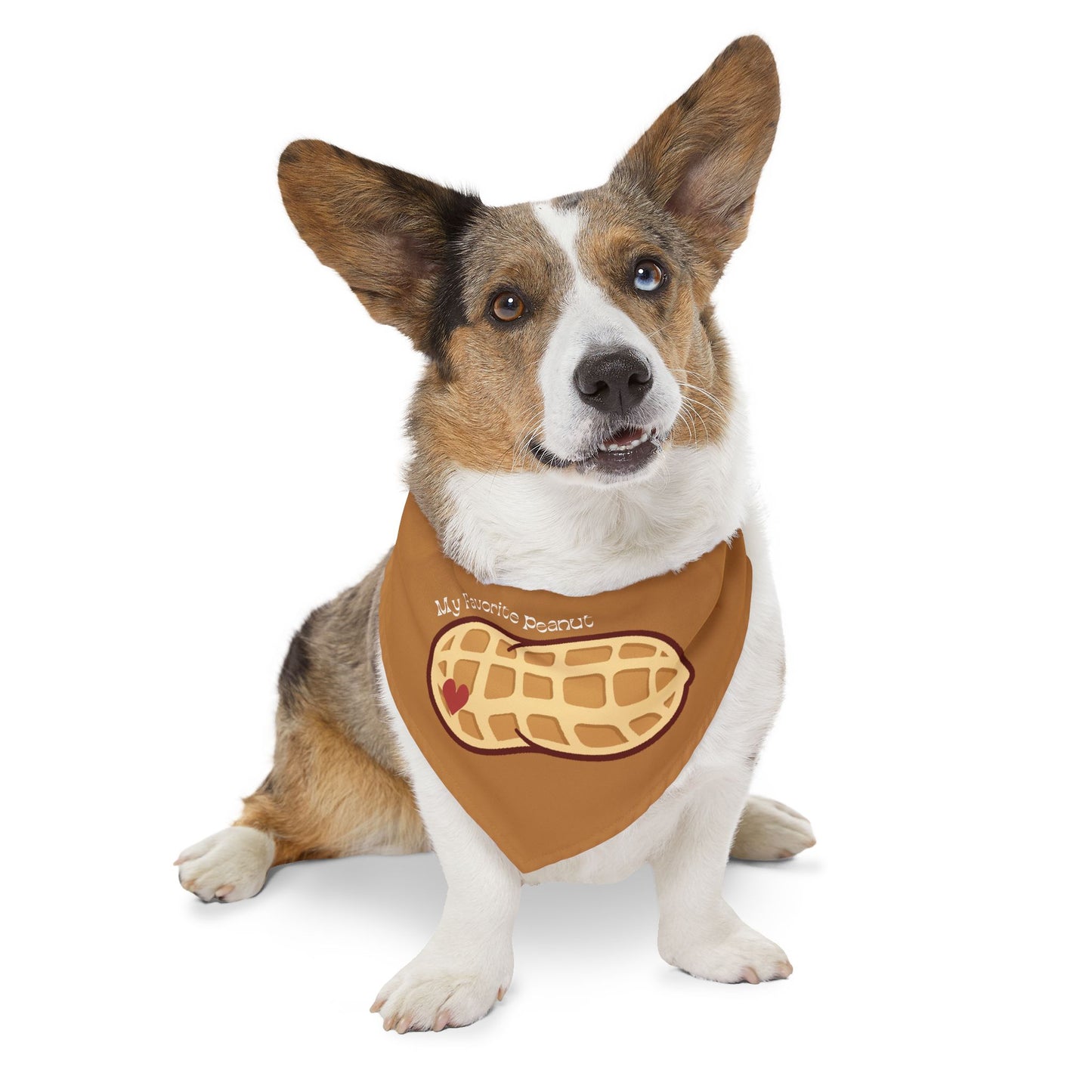 My Favorite Peanut Clip-On Pet Bandana Collar