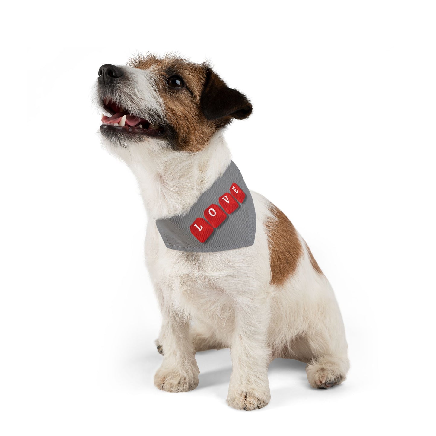 LOVE Key Caps Clip-On Pet Bandana Collar