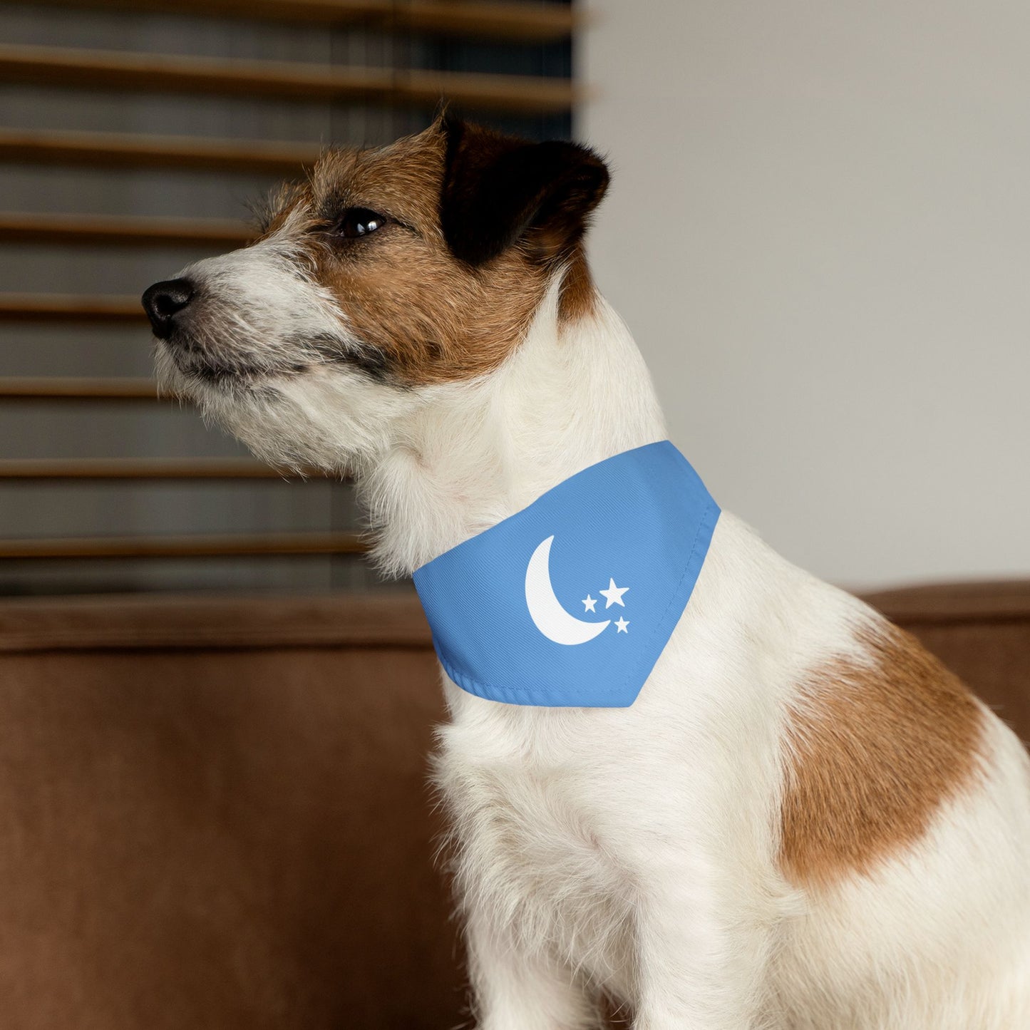 Moon & Stars Clip-On Pet Bandana Collar
