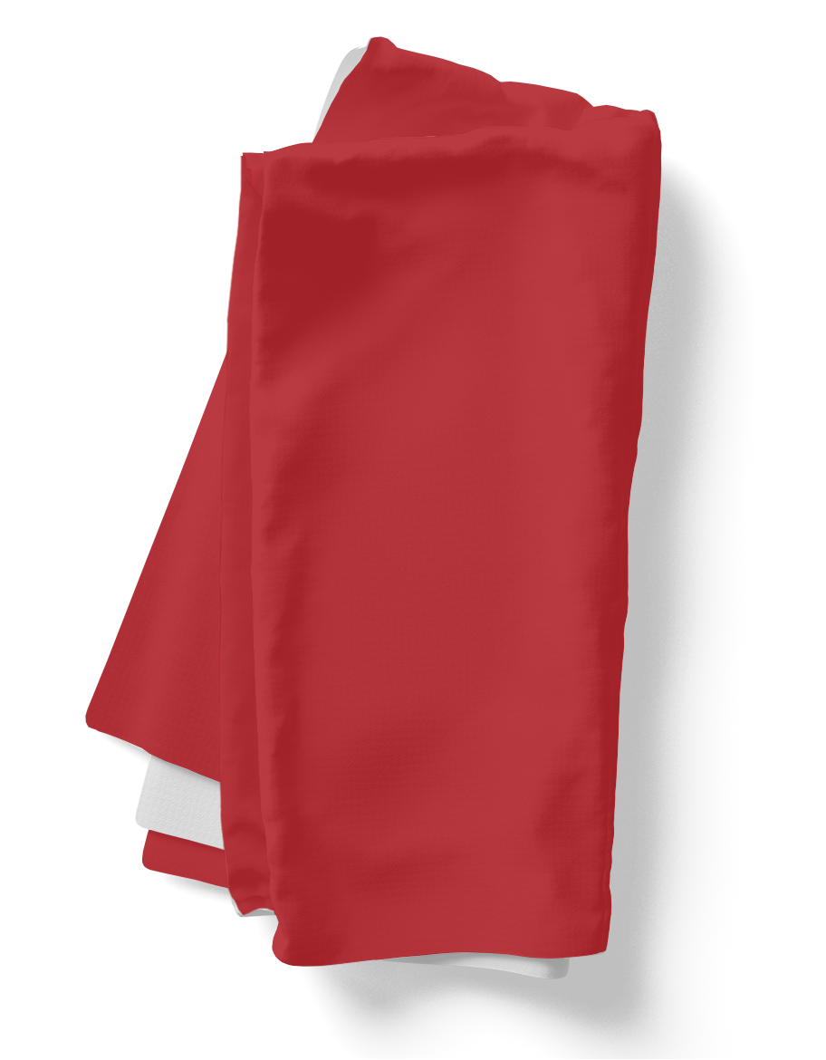 Red Holiday Napkin Set | 4 Washable Cloth Napkins, Festive Christmas Table Decor